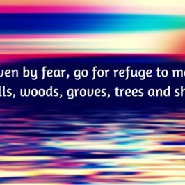 People, driven by fear, go for refuge to many places--to hills, woods, groves, trees and shrines. (1)