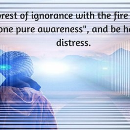 Burn down the forest of ignorance with the fire of the understanding that -I am the one pure awareness-, and be happy and free from distress.