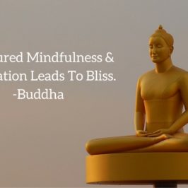 Treasured Mindfulness &Meditation Leads To Bliss
