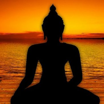Types of Vipassana Meditation: Insight Meditation and Tranquility Meditation