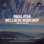 Come join us at The Shilaroo Project for this rejuvenating Workshop in the Himalayas