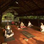 Bodhi Yoga and Ayurveda Studio