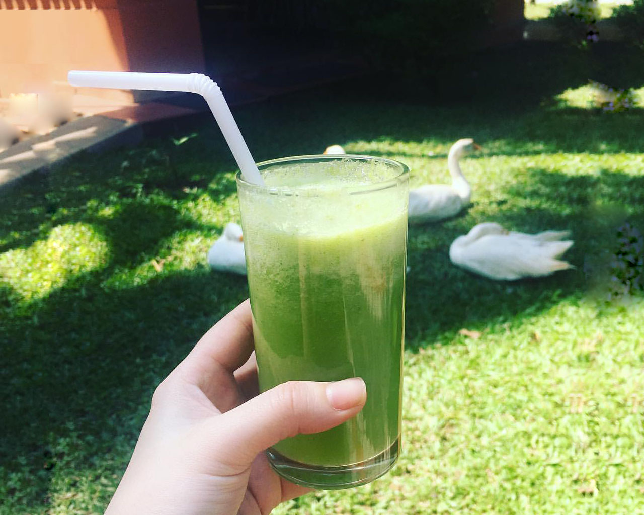 Bodhi Yoga and Ayurveda Studio