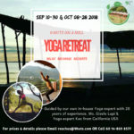Yoga Retreat at Our Eco Resort