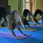 Shiva Darshan Yoga School