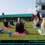 Yoga Teacher Training Scholarship Program in Rishikesh, India